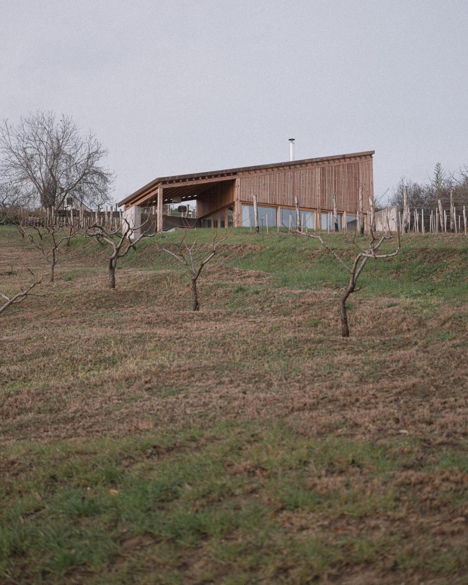 Szegzard - The Lodge Szekszard Luaran gambar